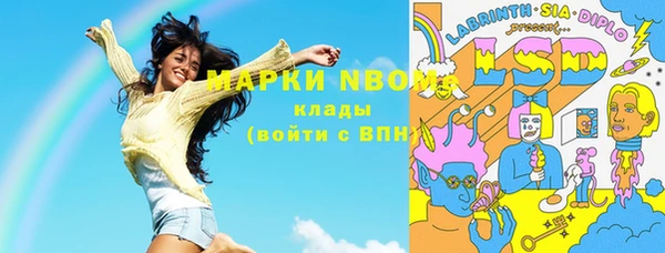 шишки Алексин