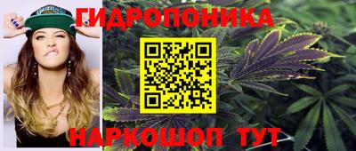стаф Обнинск