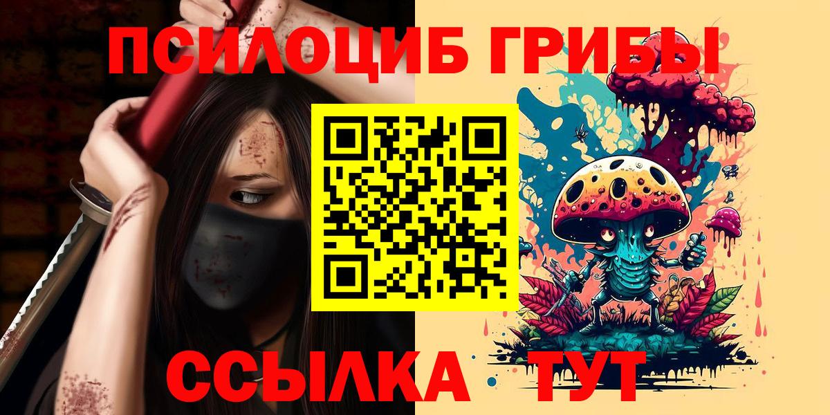Псилоцибиновые грибы Psilocybe Чебоксары