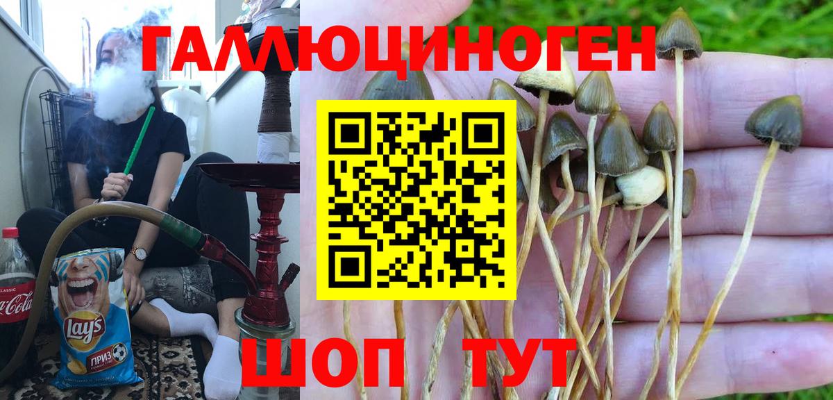 Codein Чебоксары