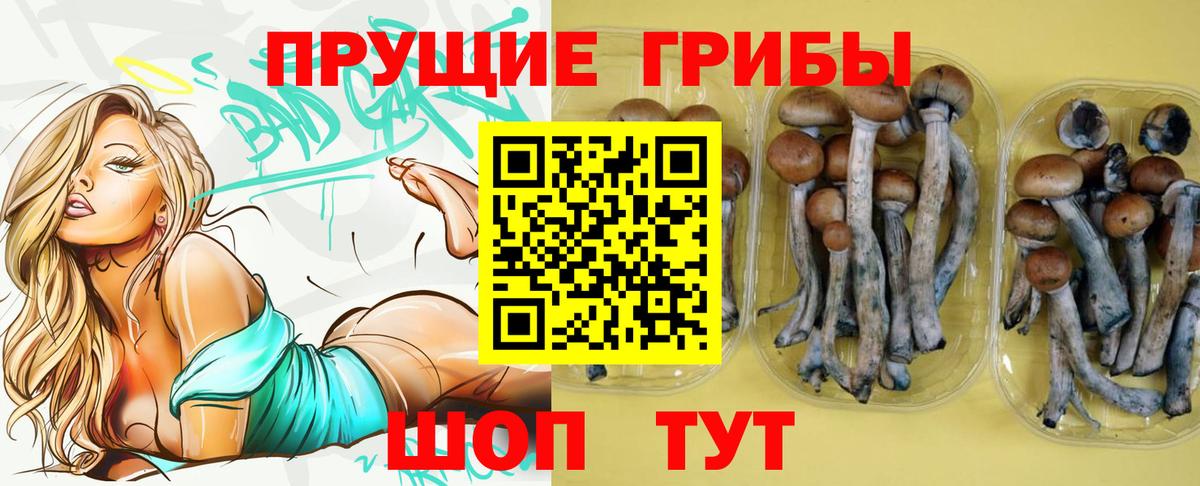 Псилоцибиновые грибы GOLDEN TEACHER  Вход с VPN  Чебоксары 